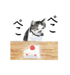伝える動物スタンプ3 犬猫猛獣編（個別スタンプ：13）