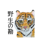 伝える動物スタンプ3 犬猫猛獣編（個別スタンプ：14）