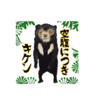 伝える動物スタンプ3 犬猫猛獣編（個別スタンプ：16）