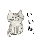 伝える動物スタンプ3 犬猫猛獣編（個別スタンプ：17）
