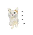 伝える動物スタンプ3 犬猫猛獣編（個別スタンプ：21）