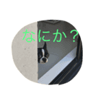 ボストンテリア ルーク君 よろしく（個別スタンプ：5）