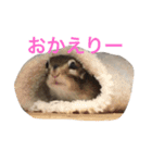 シマリスのノーチェ（個別スタンプ：9）