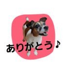 めいちゃんず（個別スタンプ：1）