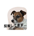 めいちゃんず（個別スタンプ：4）