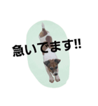 めいちゃんず（個別スタンプ：5）