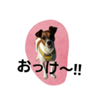 めいちゃんず（個別スタンプ：6）