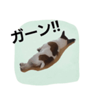めいちゃんず（個別スタンプ：7）