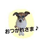 めいちゃんず（個別スタンプ：8）