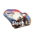 Dog's Stickers（個別スタンプ：5）