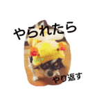 Dog's Stickers（個別スタンプ：18）