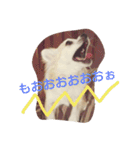 Dog's Stickers（個別スタンプ：27）