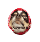 Dog's Stickers（個別スタンプ：29）