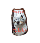 Dog's Stickers（個別スタンプ：33）