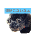 私とモコ1（個別スタンプ：4）