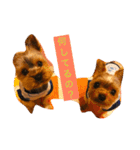 優男キャップと爆裂コロア（個別スタンプ：5）