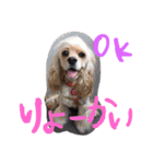 nicoelle2（個別スタンプ：2）