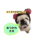 風桃鈴スタンプ（個別スタンプ：3）