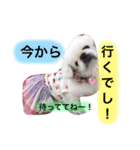 風桃鈴スタンプ（個別スタンプ：5）