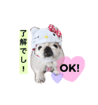 風桃鈴スタンプ（個別スタンプ：11）