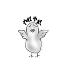 さえないハト（個別スタンプ：5）