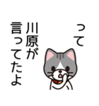 川原が中心で何か叫ぶ（個別スタンプ：40）