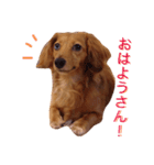 関西弁のまろんさん（個別スタンプ：1）
