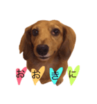 関西弁のまろんさん（個別スタンプ：3）