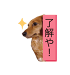 関西弁のまろんさん（個別スタンプ：5）
