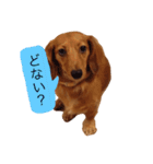 関西弁のまろんさん（個別スタンプ：8）