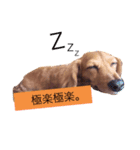 関西弁のまろんさん（個別スタンプ：12）