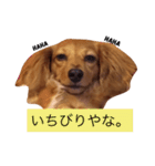 関西弁のまろんさん（個別スタンプ：15）
