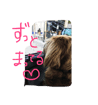 うぃんうぃんうぃんうぃん（個別スタンプ：2）