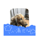 うぃんうぃんうぃんうぃん（個別スタンプ：4）