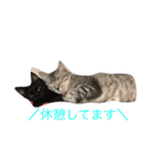 jijibibi3（個別スタンプ：4）