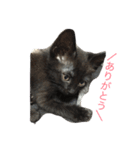 jijibibi3（個別スタンプ：13）