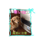 しゅーと（個別スタンプ：7）