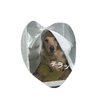Love.Lucy（個別スタンプ：4）