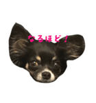 ボク、つっくん③（個別スタンプ：2）