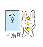 star rabbit and doctor rabbit day2（個別スタンプ：6）