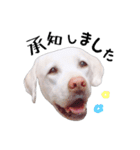毎日こなちゃん✱使える敬語（個別スタンプ：2）