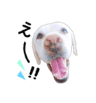 毎日こなちゃん✱使える敬語（個別スタンプ：25）