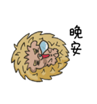 Hedgehog brat（個別スタンプ：15）
