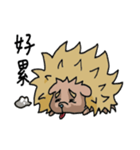 Hedgehog brat（個別スタンプ：22）