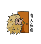 Hedgehog brat（個別スタンプ：37）