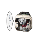 関西弁のチワマル「ロックくん」（個別スタンプ：23）