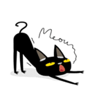 Black Bean the black cat（個別スタンプ：3）