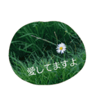 I-RO-TO-RI-DO-RI（個別スタンプ：2）