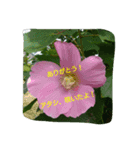I-RO-TO-RI-DO-RI（個別スタンプ：5）