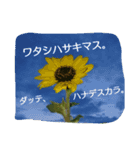 I-RO-TO-RI-DO-RI（個別スタンプ：7）